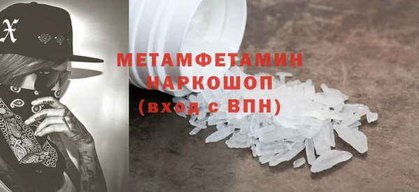 прущие грибы Гусиноозёрск