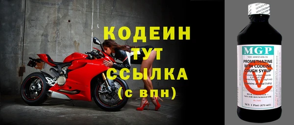 индика Горно-Алтайск