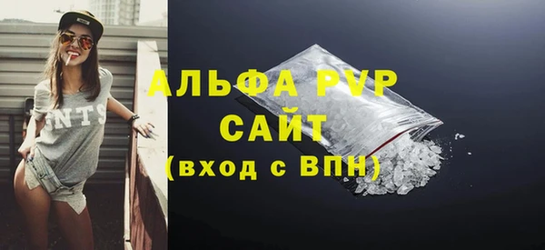 индика Горно-Алтайск