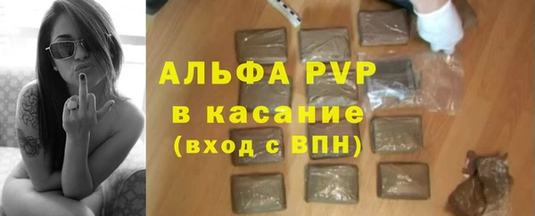 индика Горно-Алтайск