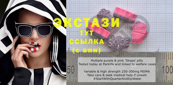 индика Горно-Алтайск