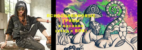 mix Горняк