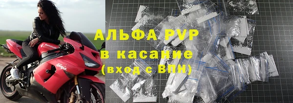 индика Горно-Алтайск