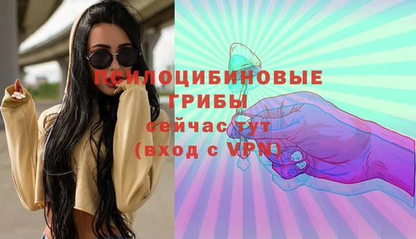 индика Горно-Алтайск