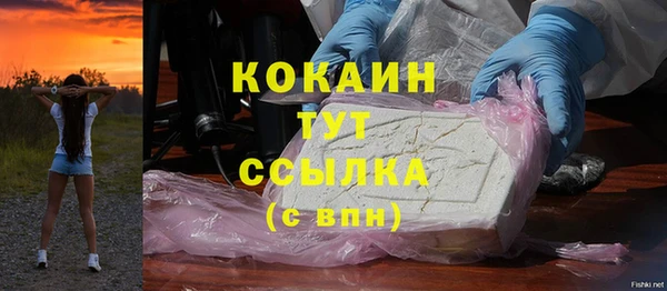 индика Горно-Алтайск
