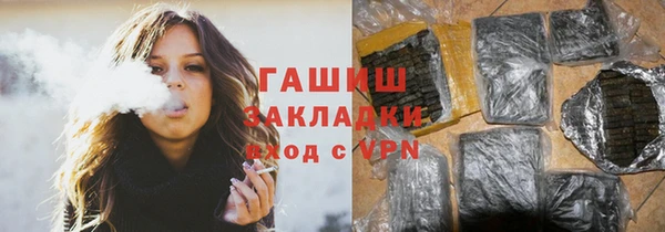 индика Горно-Алтайск