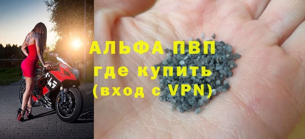 индика Горно-Алтайск