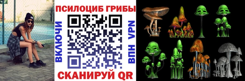Псилоцибиновые грибы мухоморы  Купить  Боровск 
